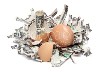 shredded dollar bank notes and broken eggshell