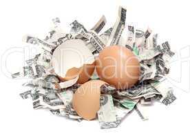 nest made of shredded dollar bank notes and broken eggshell