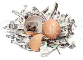 shredded dollars and eggshell with coins