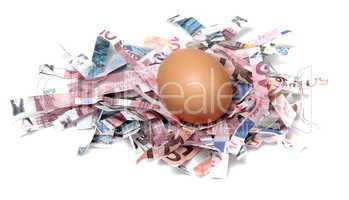 shredded european currency with egg