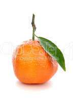 mandarin orange with green leaves