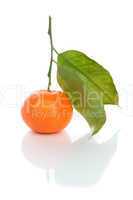 fresh mandarin orange with green leaves