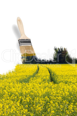 paintbrush painting a yellow field