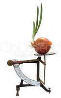 growing onion on old letter scales