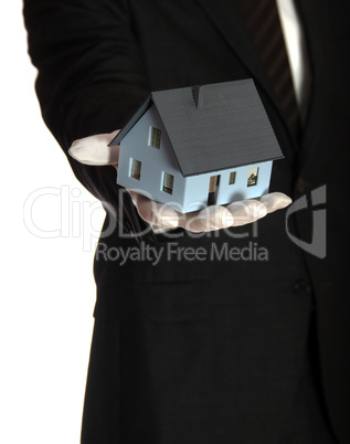the house in the hand of a salesman