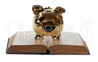 old book with golden piggy bank