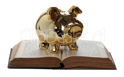 golden piggy bank on old book