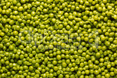 Green Peas