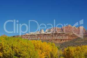 Autumn foliage, red and white rocks near Zion National Park, Utah