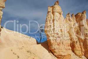 Rock towers and walls with lonely dry tree in Bryce Canyon Nationalpark, Utah