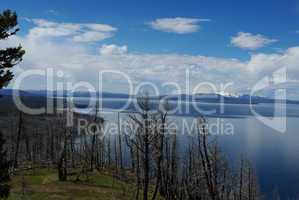 Dry burnt trees, Lake Yellowstone and Absaroka Mountains in the distance, Wyoming