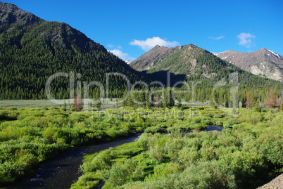 High mountain valley with River, Salmon Challis National Forest, Idaho
