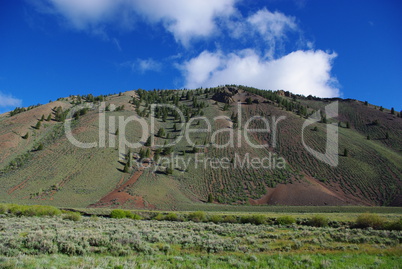 Prairie, pines and mountains in high valley, Salmon Challis National Forest, Idaho