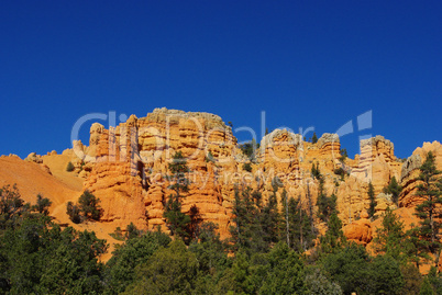 Orange rock towers and walls with forest and blue sky, Bryce Canyon National Park, Utah