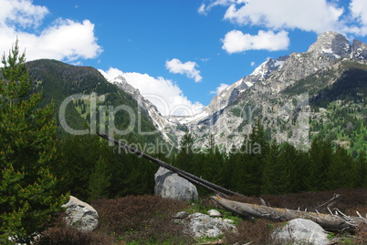 Rock boulders, logs, forest and Grand Teton Mountains, Wyoming