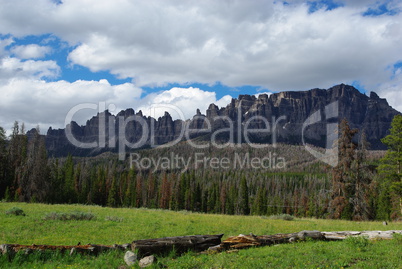 Dry logs, forest and beautiful Bridger Teton Mountains near Togwotee Pass, Wyoming