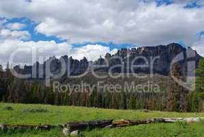 Dry logs, forest and beautiful Bridger Teton Mountains near Togwotee Pass, Wyoming