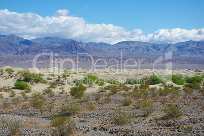 Desert, vast dune area and high mountains, Death Valley, California