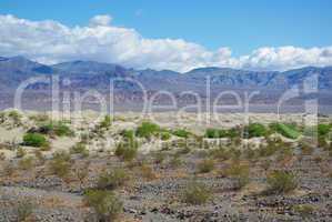 Desert, vast dune area and high mountains, Death Valley, California