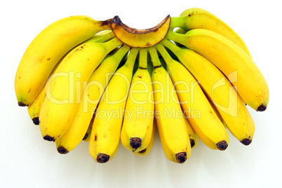 Bunch of bananas isolated on white background