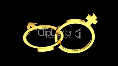 Gold Ringe im Wechsel mit einem männlichen und weiblichen Symbol