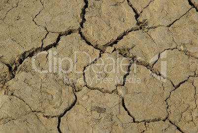 Ausgetrockneter Boden - dried out ground 02