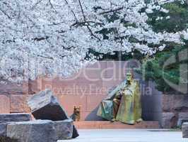 Cherry blossoms and Washington FDR monument