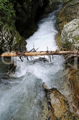 Vintgar-Schlucht bei Bled, Slowenien