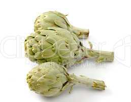 Fresh artichoke