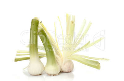 pile of garlic shoots