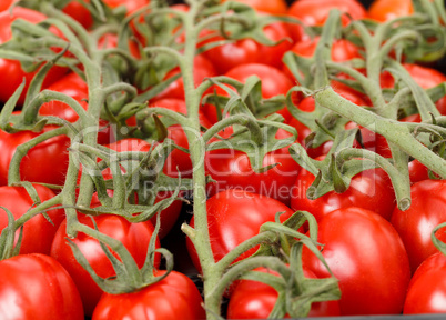 Cherry tomatoes