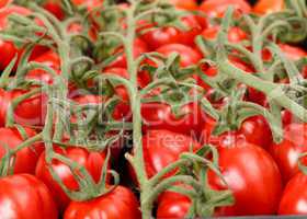 Cherry tomatoes