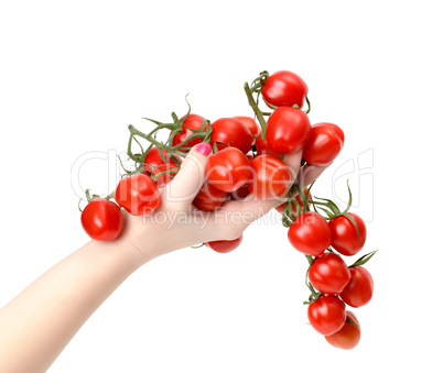 Bunch cherry tomatoes in hand