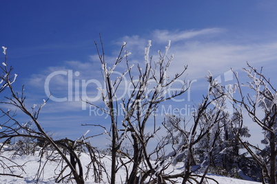 Winter im Gebirge