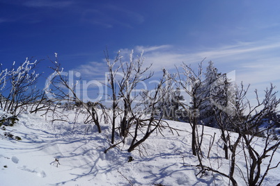 Winter im Gebirge