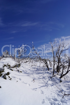 Winter im Gebirge