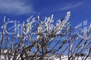 Winter im Gebirge