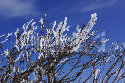 Winter im Gebirge