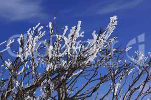 Winter im Gebirge