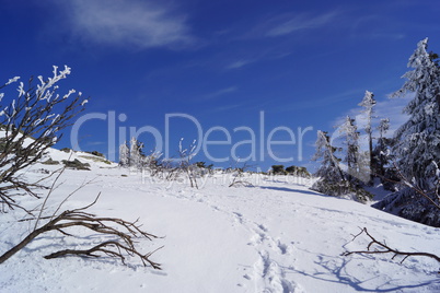 Winter im Gebirge