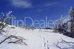 Winter im Gebirge