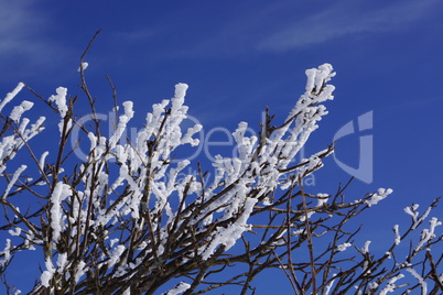 Winter im Gebirge