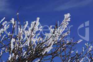 Winter im Gebirge