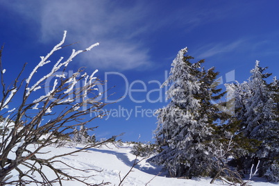 Winter im Gebirge