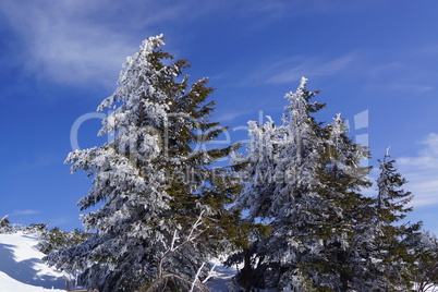 Winter im Gebirge