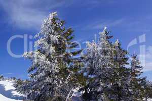 Winter im Gebirge