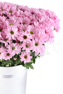 Bouquet of Chrysanthemums