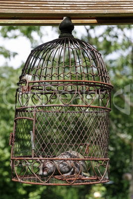 Vogelkäfig mit Katzenfigur als Gartendekoration