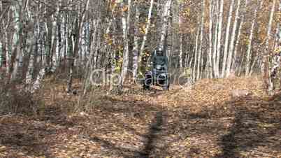 ATV mountain trail toward autumn stand M HD