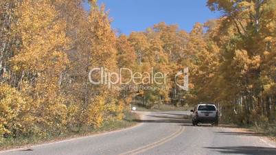 Autumn forest mountain car on road away M HD